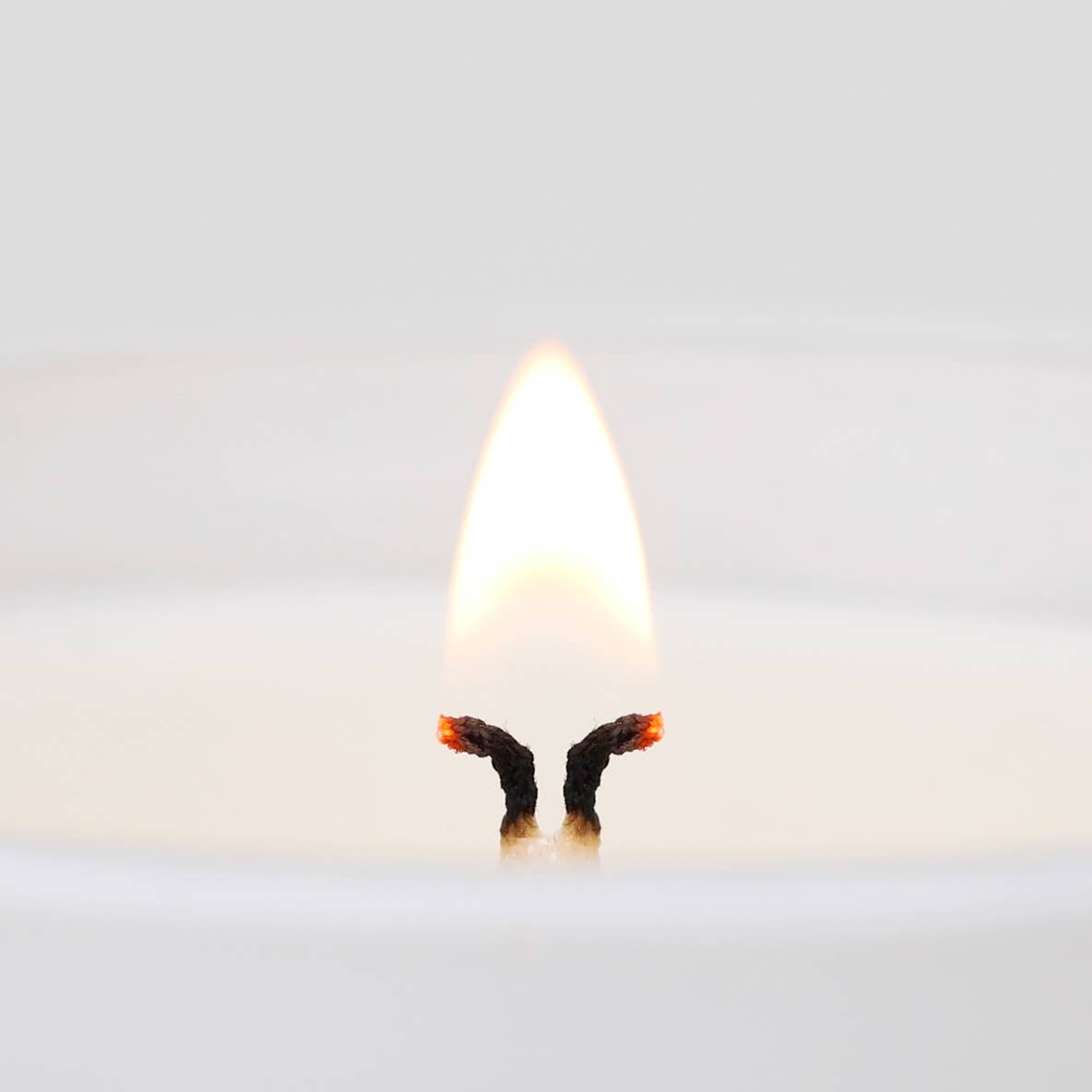 12oz | Balsam Mahogany Winter Candle | Soy Blend Wax | Vegan