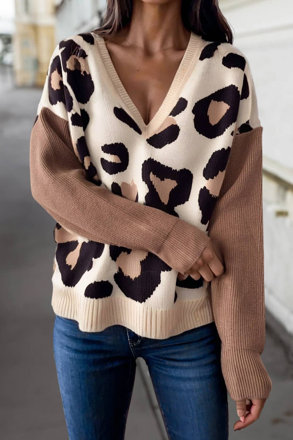Leopard Colorblock V Neck Sweater