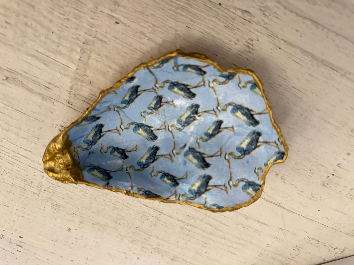 Oyster Shell - Sitting