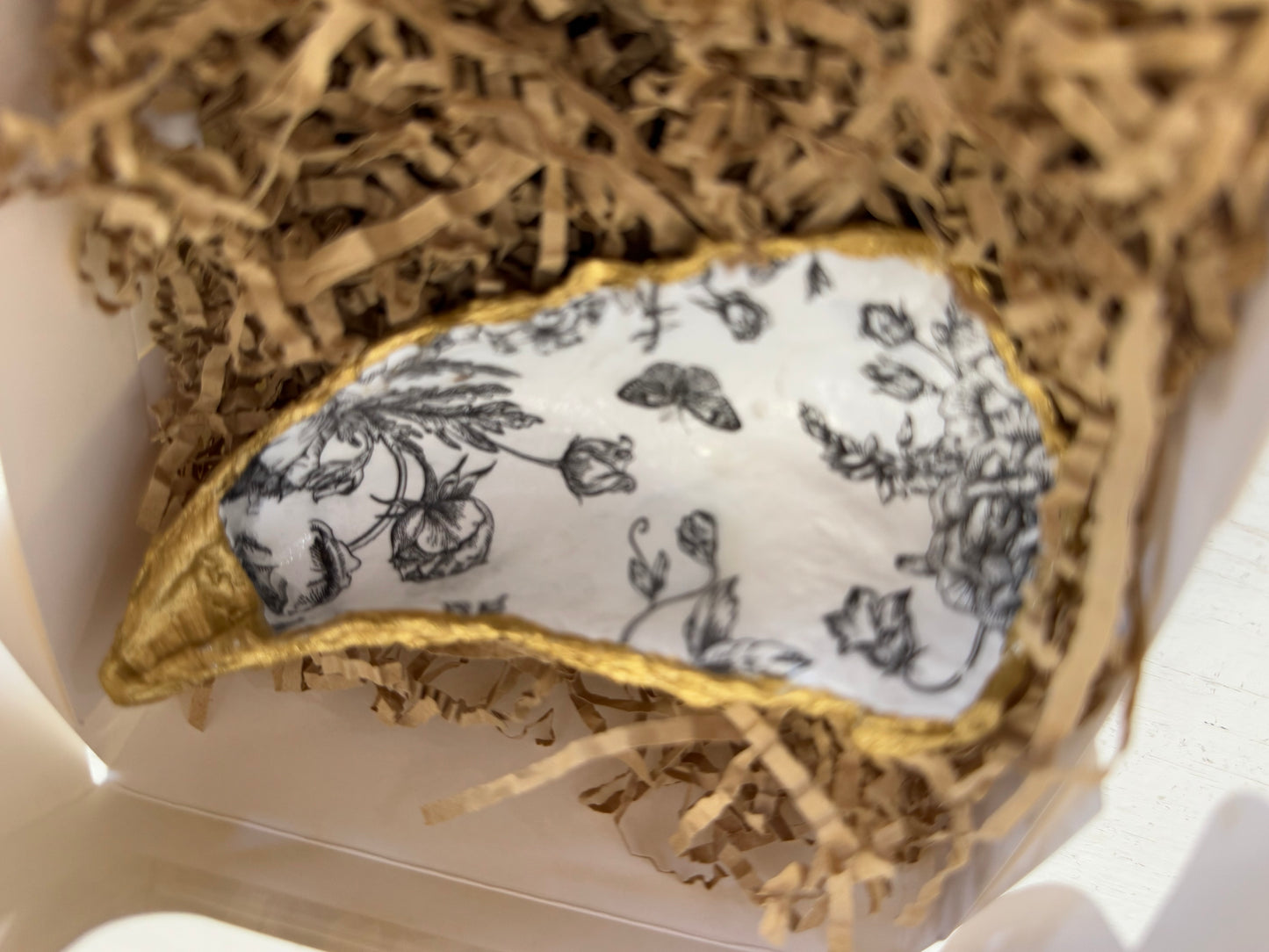 Oyster Shell - Sitting